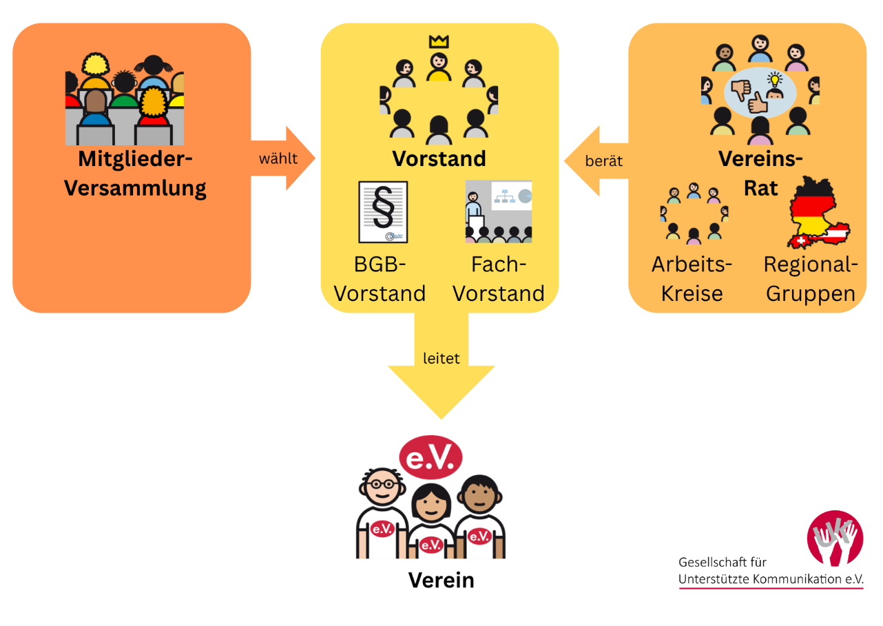 Die Struktur des Vereins.